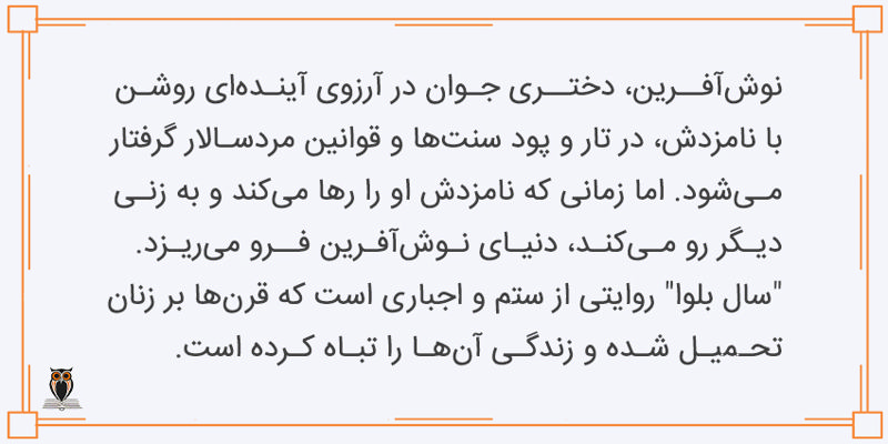 خلاصه داستان کتاب سال بلوا